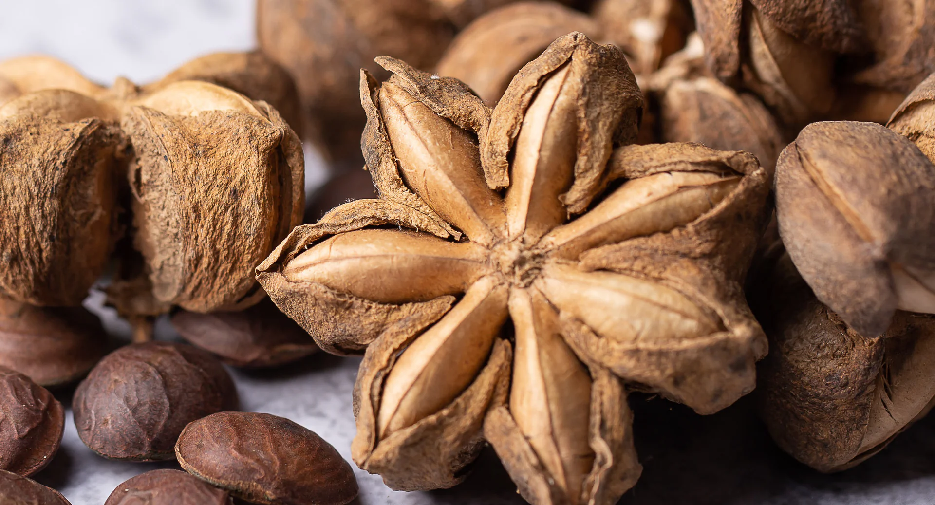 SRPE_Ingredients_SachaInchi