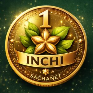 1 INCHI